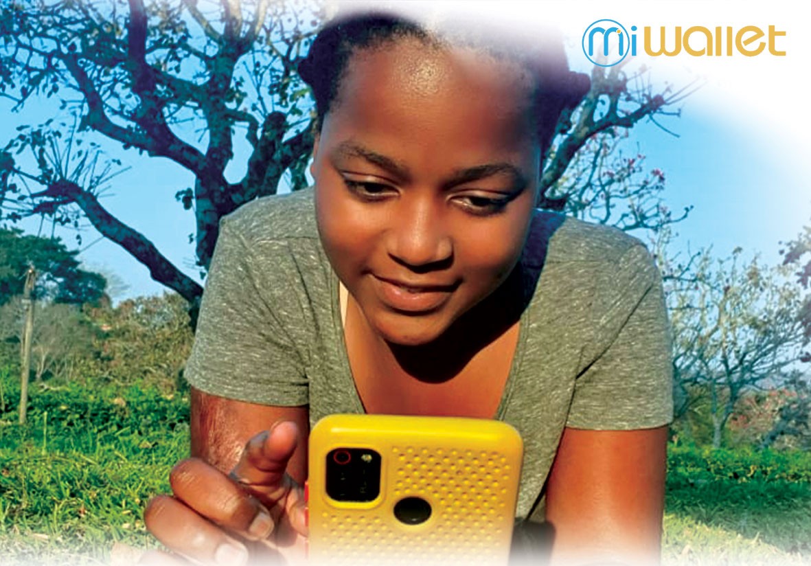 Mi Wallet business software in use